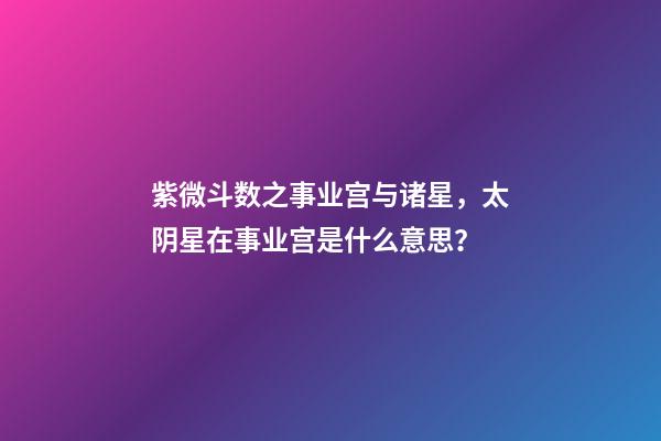 紫微斗数之事业宫与诸星，太阴星在事业宫是什么意思？