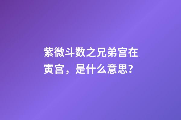 紫微斗数之兄弟宫在寅宫，是什么意思？