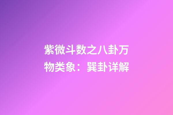 紫微斗数之八卦万物类象：巽卦详解