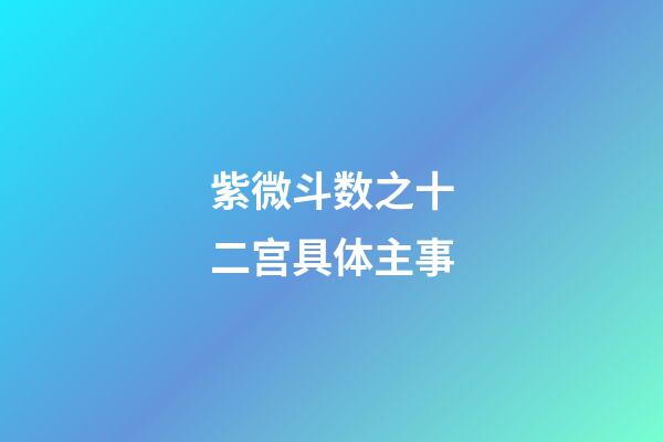 紫微斗数之十二宫具体主事