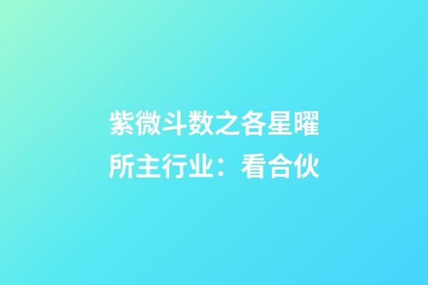 紫微斗数之各星曜所主行业：看合伙