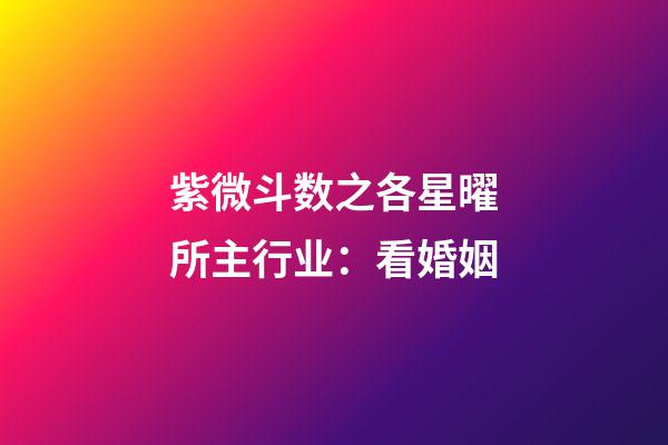 紫微斗数之各星曜所主行业：看婚姻