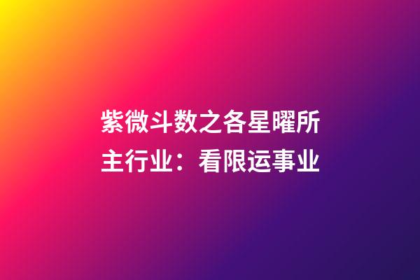 紫微斗数之各星曜所主行业：看限运事业