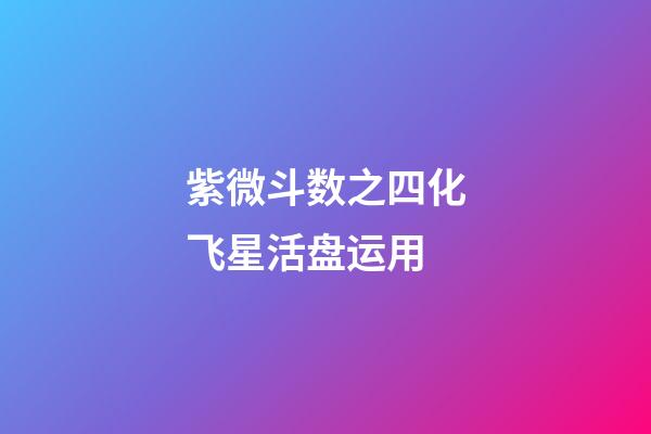紫微斗数之四化飞星活盘运用