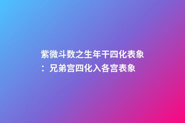 紫微斗数之生年干四化表象：兄弟宫四化入各宫表象