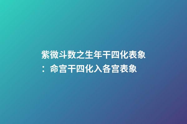 紫微斗数之生年干四化表象：命宫干四化入各宫表象