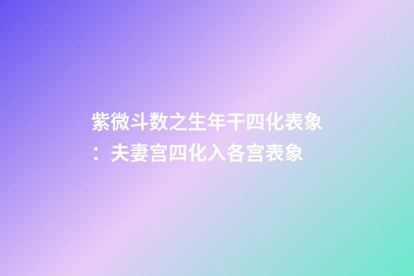 紫微斗数之生年干四化表象：夫妻宫四化入各宫表象