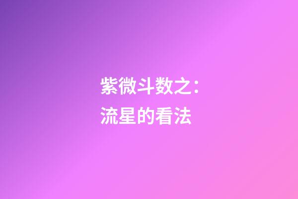 紫微斗数之：流星的看法