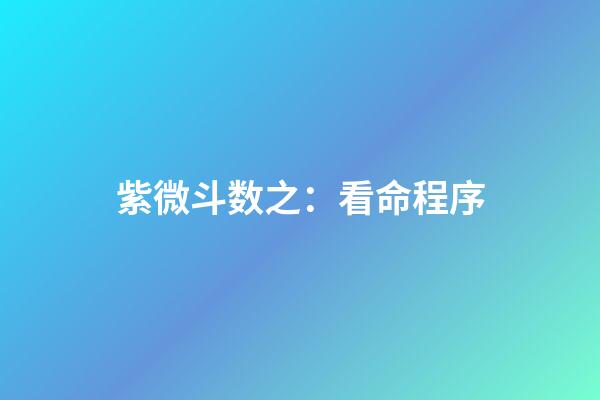 紫微斗数之：看命程序