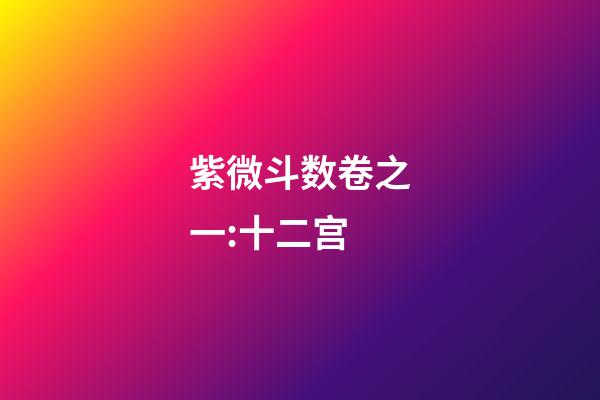 紫微斗数卷之一:十二宫