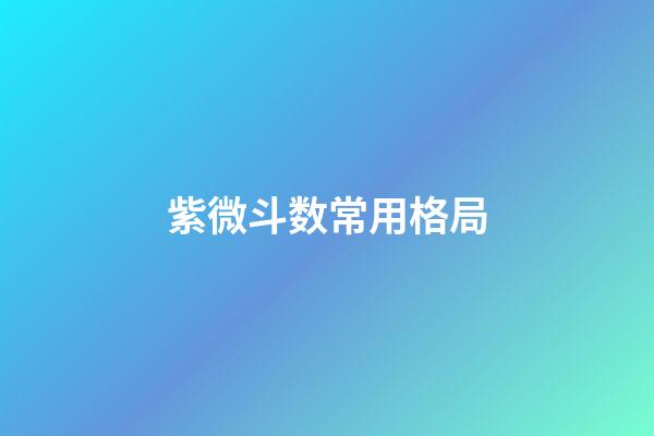 紫微斗数常用格局