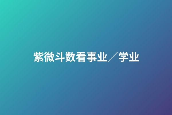 紫微斗数看事业／学业