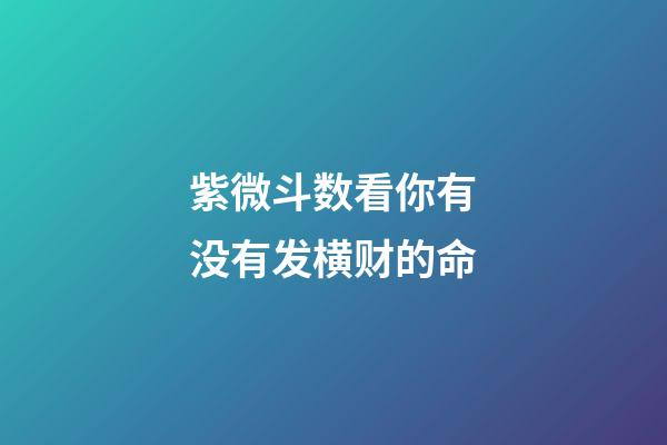 紫微斗数看你有没有发横财的命