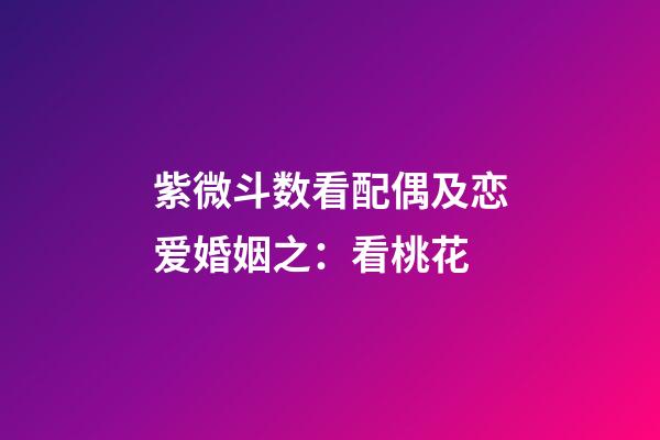 紫微斗数看配偶及恋爱婚姻之：看桃花