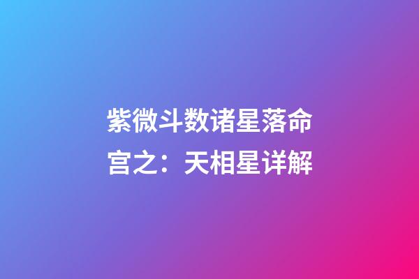 紫微斗数诸星落命宫之：天相星详解