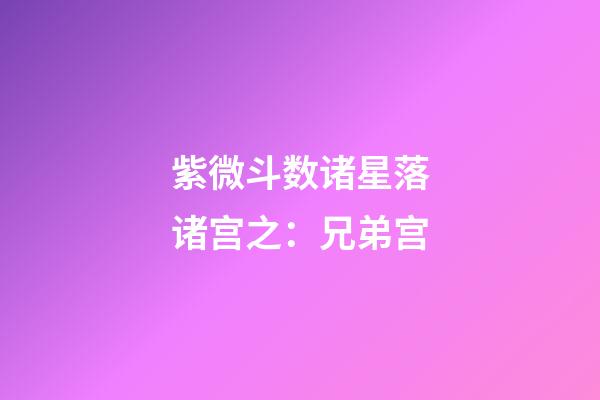 紫微斗数诸星落诸宫之：兄弟宫