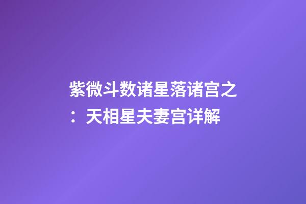 紫微斗数诸星落诸宫之：天相星夫妻宫详解