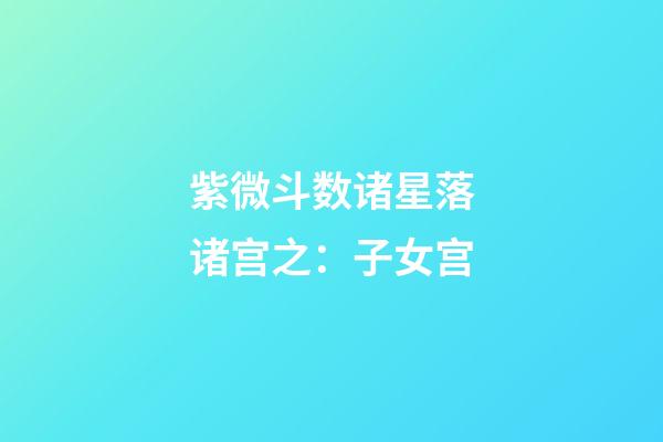 紫微斗数诸星落诸宫之：子女宫