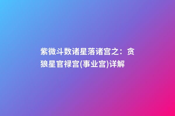 紫微斗数诸星落诸宫之：贪狼星官禄宫(事业宫)详解