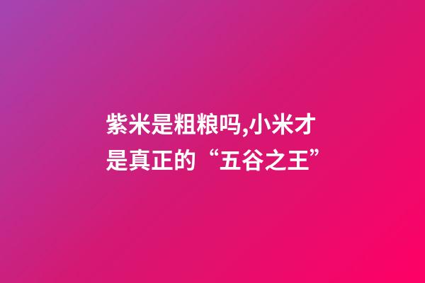 紫米是粗粮吗,小米才是真正的“五谷之王”-第1张-观点-玄机派
