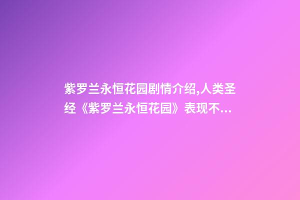 紫罗兰永恒花园剧情介绍,人类圣经《紫罗兰永恒花园》表现不尽人意-第1张-观点-玄机派