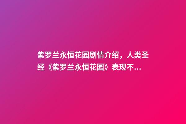 紫罗兰永恒花园剧情介绍，人类圣经《紫罗兰永恒花园》表现不尽人意-第1张-观点-玄机派
