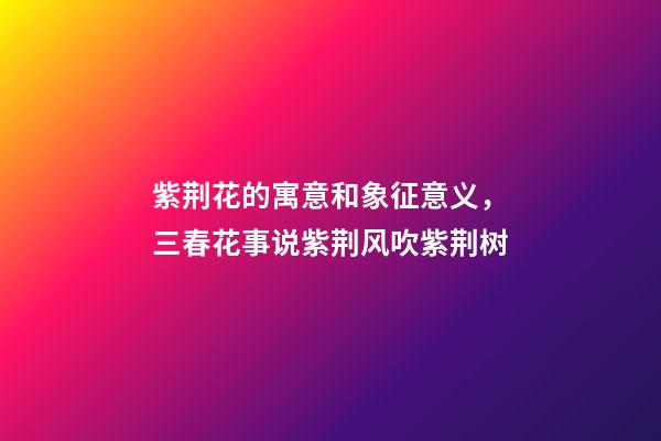 紫荆花的寓意和象征意义，三春花事说紫荆风吹紫荆树-第1张-观点-玄机派