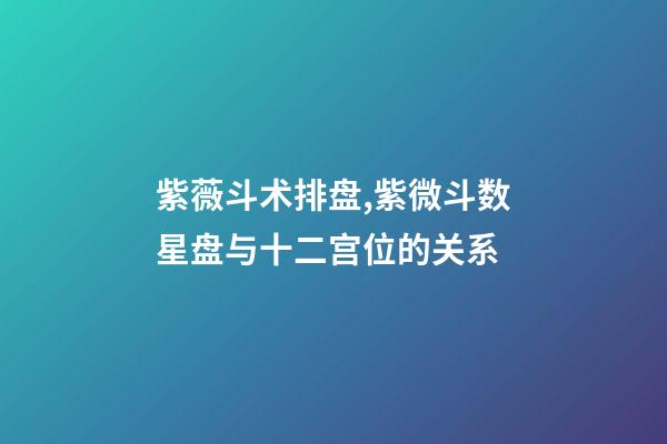 紫薇斗术排盘,紫微斗数星盘与十二宫位的关系-第1张-观点-玄机派