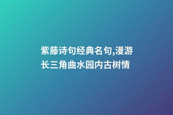 紫藤诗句经典名句,漫游长三角曲水园内古树情-第1张-观点-玄机派