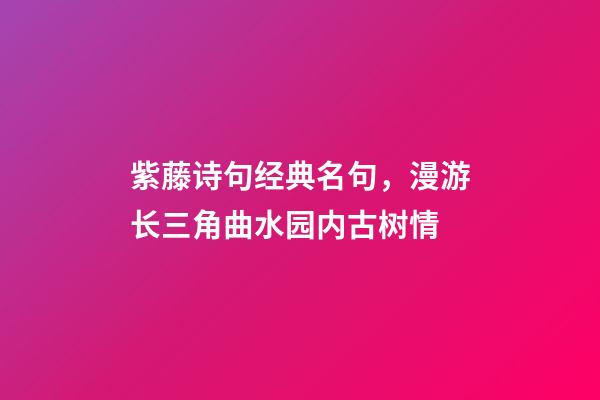 紫藤诗句经典名句，漫游长三角曲水园内古树情-第1张-观点-玄机派