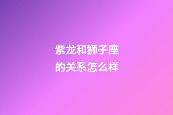 紫龙和狮子座的关系怎么样-第1张-星座运势-玄机派