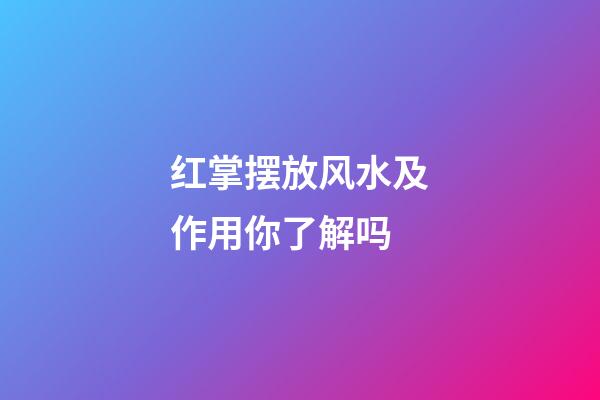 红掌摆放风水及作用你了解吗