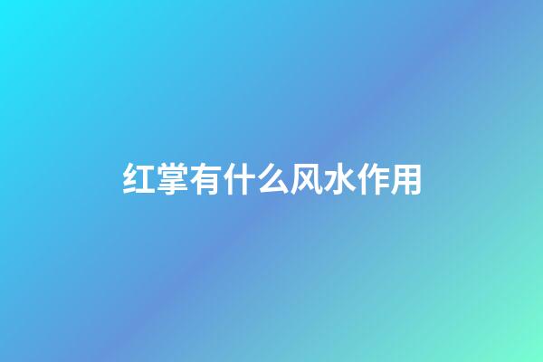 红掌有什么风水作用