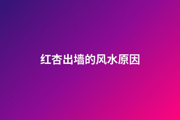 红杏出墙的风水原因