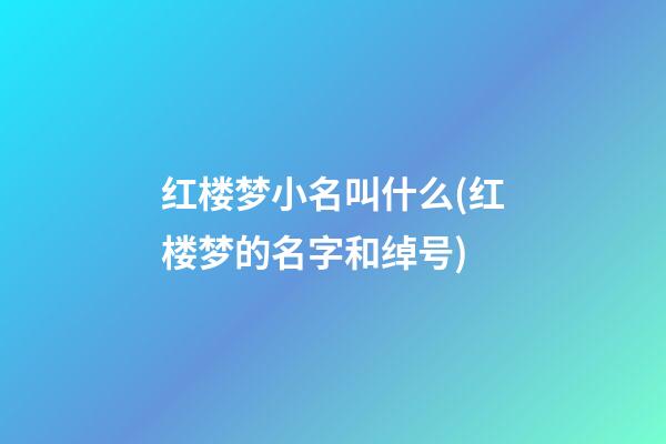 红楼梦小名叫什么(红楼梦的名字和绰号)