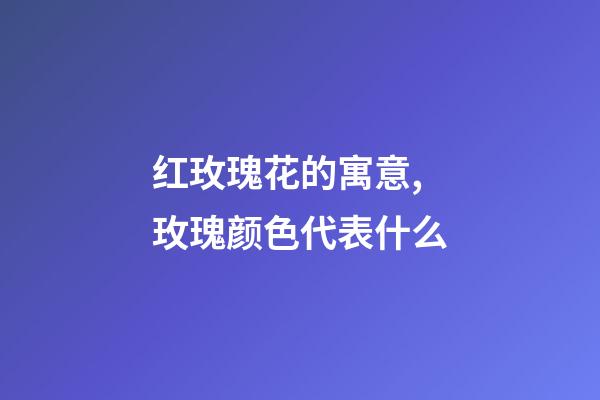 红玫瑰花的寓意,玫瑰颜色代表什么-第1张-观点-玄机派