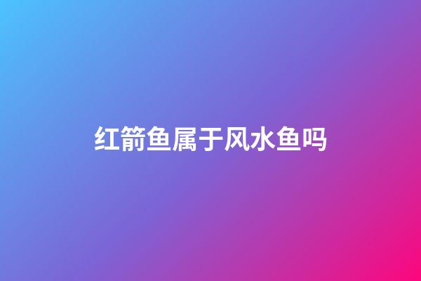 红箭鱼属于风水鱼吗