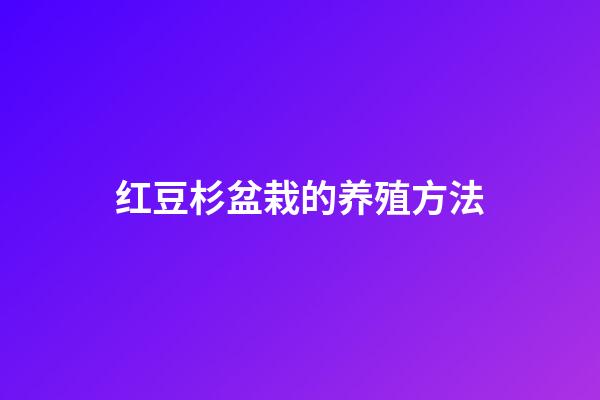 红豆杉盆栽的养殖方法