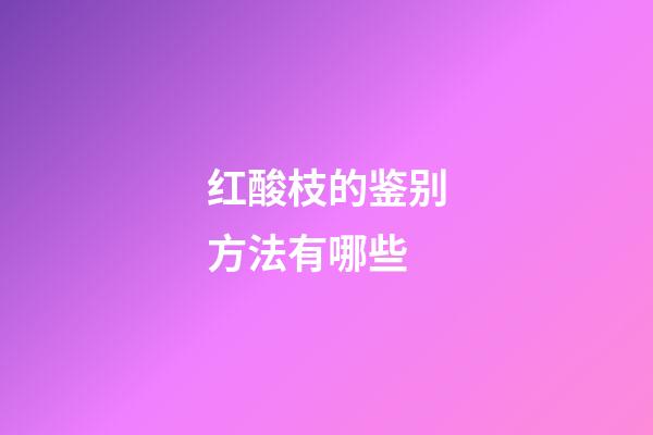 红酸枝的鉴别方法有哪些