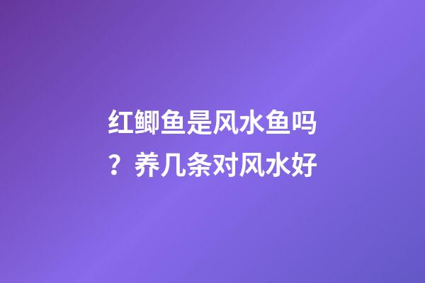 红鲫鱼是风水鱼吗？养几条对风水好