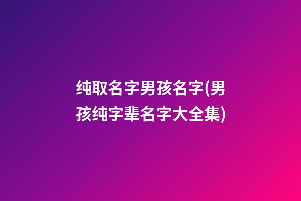 纯取名字男孩名字(男孩纯字辈名字大全集)