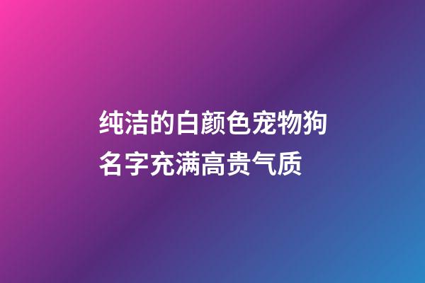 纯洁的白颜色宠物狗名字充满高贵气质