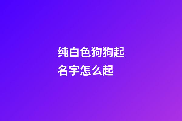 纯白色狗狗起名字怎么起