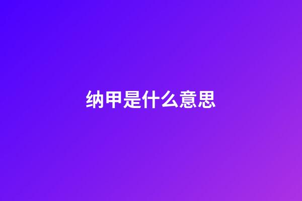 纳甲是什么意思