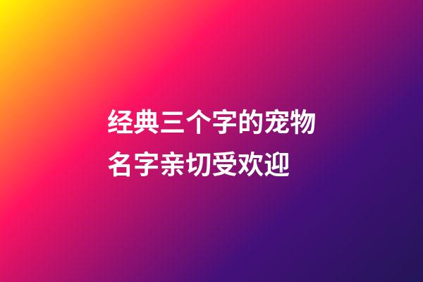 经典三个字的宠物名字亲切受欢迎