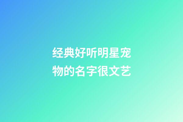 经典好听明星宠物的名字很文艺