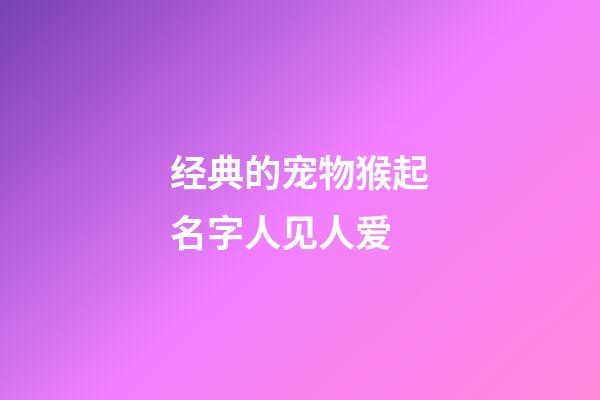 经典的宠物猴起名字人见人爱