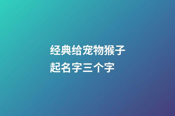 经典给宠物猴子起名字三个字