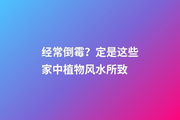 经常倒霉？定是这些家中植物风水所致