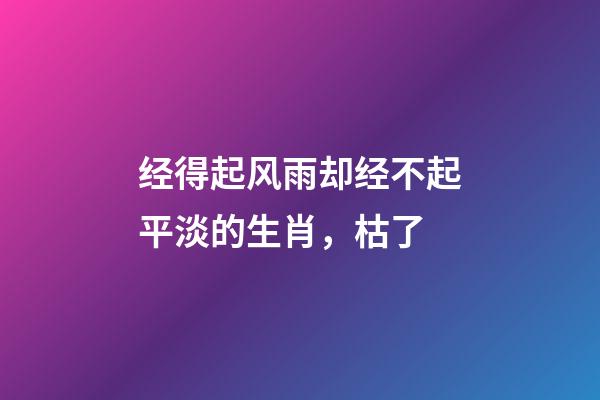 经得起风雨却经不起平淡的生肖，枯了